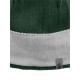 Bonnet The north face Blues II Tricot Polaire unisex Vert