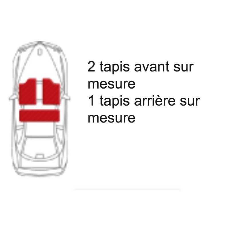 Tapis Auto PARTNER (avec trappe arr) Peugeot Moquette TUFTEE 550g/m2 De  03/99-09/05 Tapis Tuftee velours Luxe